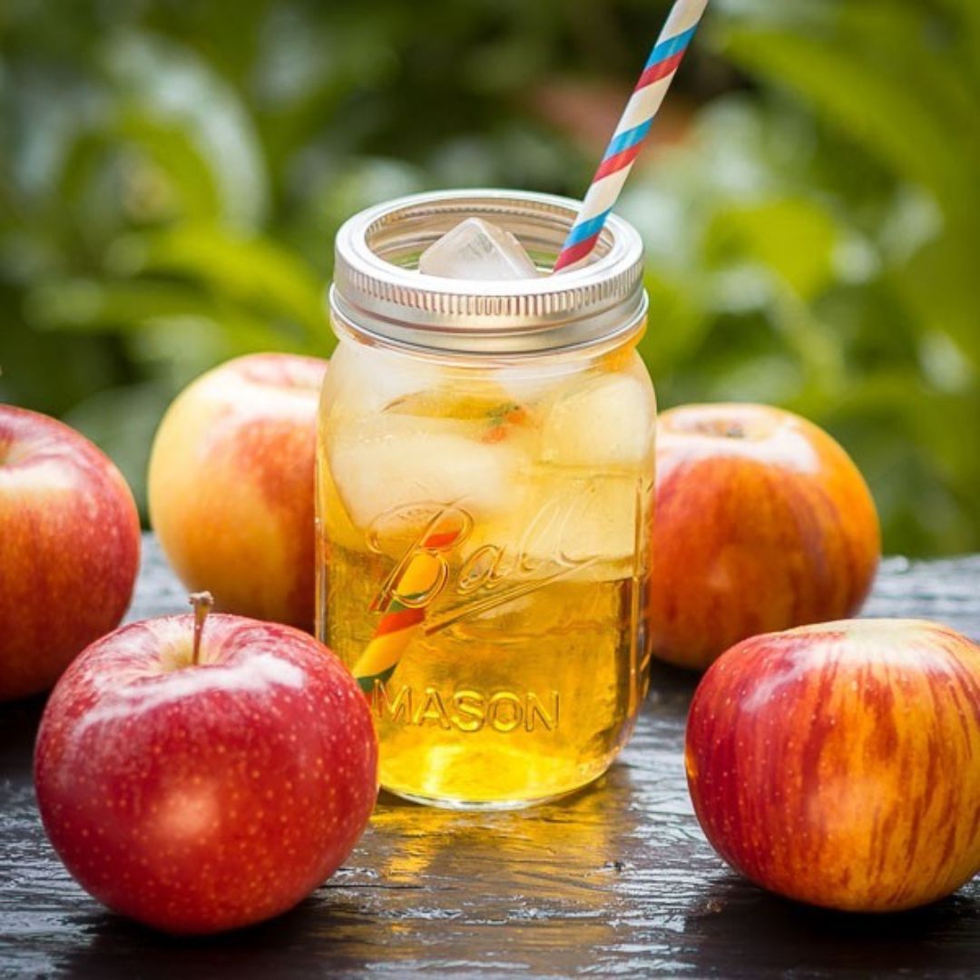 16 oz Boca Regular (12 pzas) - Image 8